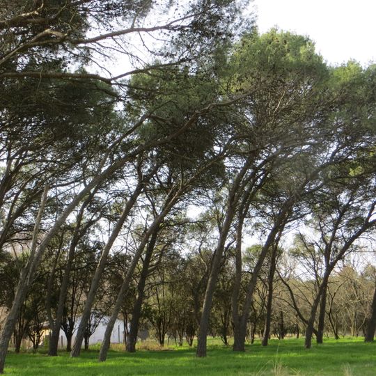 Guatraché Department