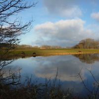 Saint-Pierre-de-Varennes