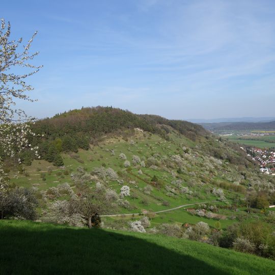 Spitzberg, Pfaffenberg, Kochhartgraben und Neckar