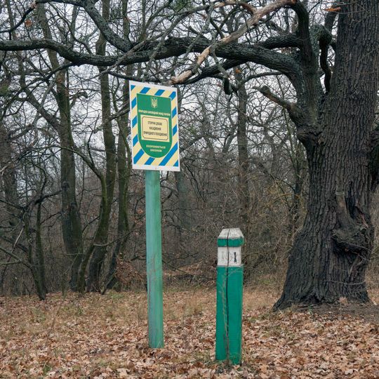 Сторічні дубові насадження природного походження