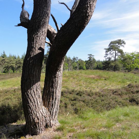 Terrein waarin zes grafheuvels