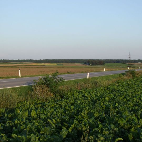 Gräberfeld Untere Haidäcker