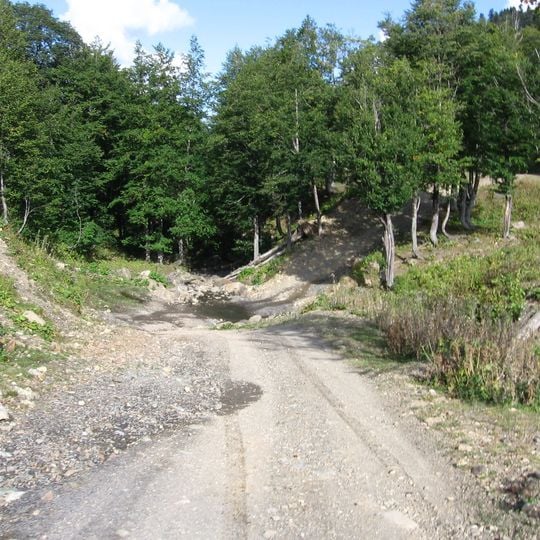 Pskhu-Gumista Strict Nature Reserve