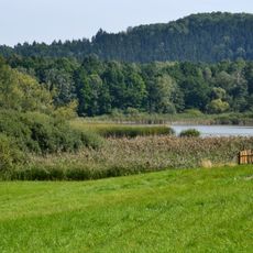 Stará Oleška (nature reserve)