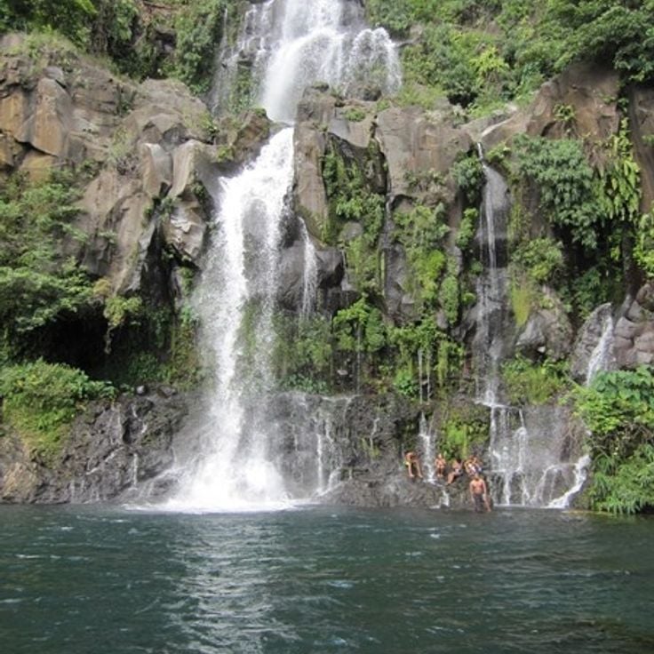 Bassin des Aigrettes