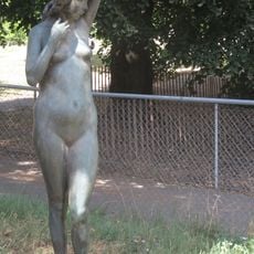 Jeune femme 67