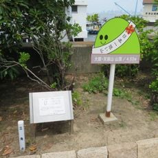 Mount Tenpō