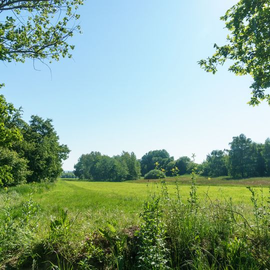 Orchid meadow south of Belgern