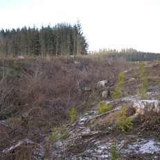 Ringwall Mittelstetten