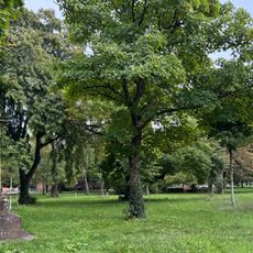 Alter Friedhof