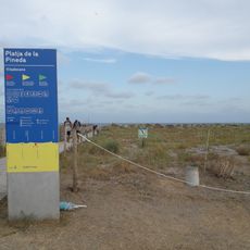Platja de la Pineda
