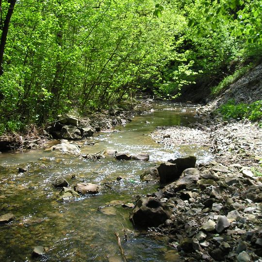 Щербаковская балка