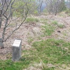 Burninburuko lepoa 2 mendebalde