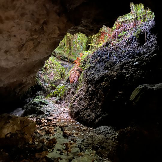 Tunnel Cave