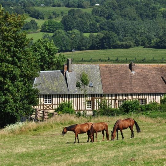 Calvados