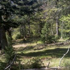 Lap Berg