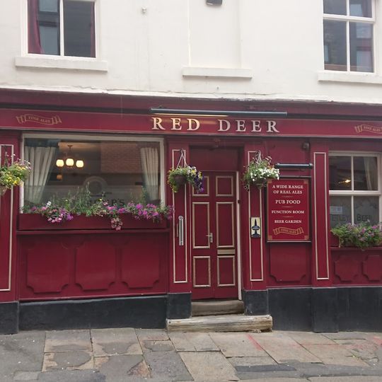 The Red Deer