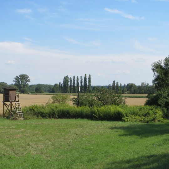 Rußheimer Altrhein-Elisabethenwört