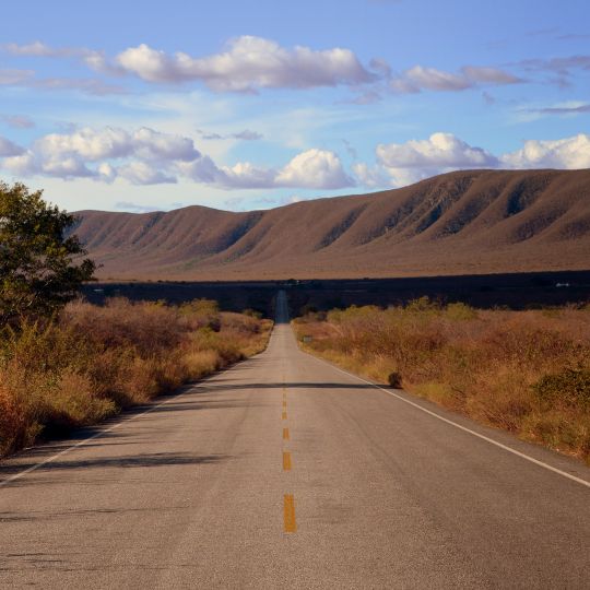 Contendas de Sincorá National Forest