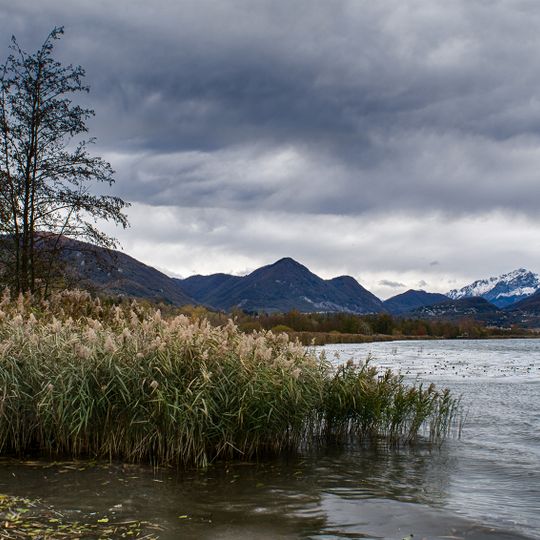 Riserva naturale riva orientale del Lago di Alserio