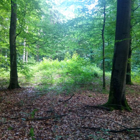 Grabhügel im Breitenbüschle