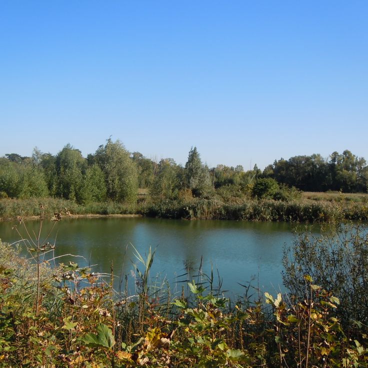 Étang de l'Épinoche