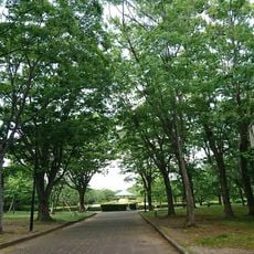 Johoku Park
