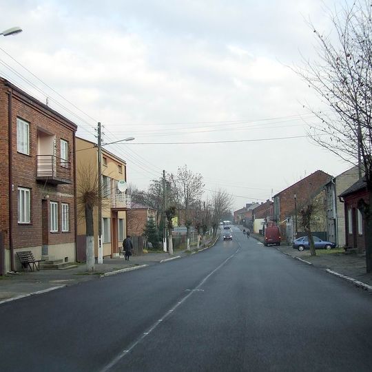 Distretto di Pajęczno