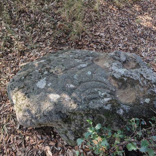 Pedra Gravada del Turó dels Castellans