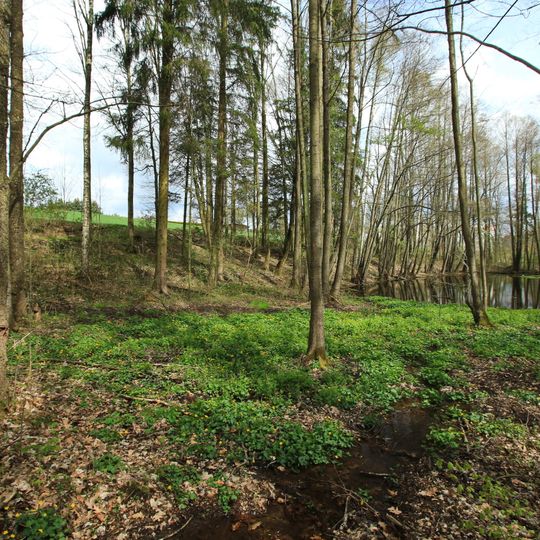 Feuchtbiotop Hartensteiner Straße in Lichtenstein