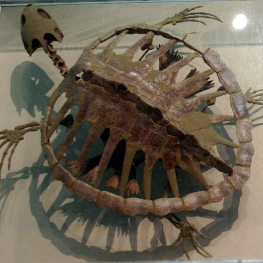 Formation de Smoky Hill Chalk