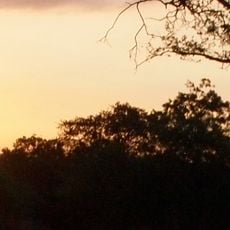 Parque nacional de Baluran