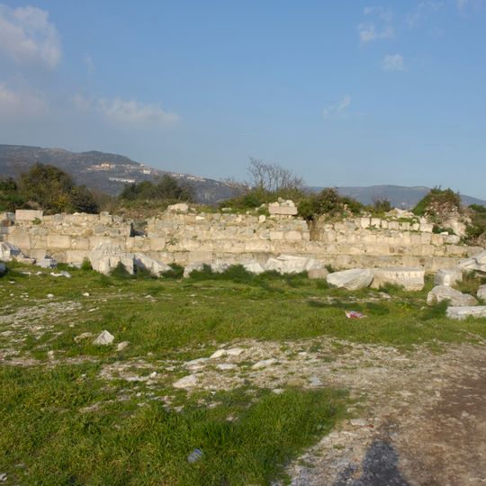 Cyzicus