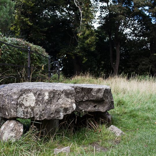 Knockmaree Dolmen