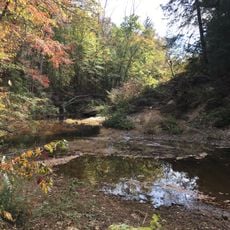 Sipsey Wilderness