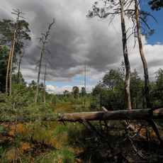 Bergen-Weißacker Moor