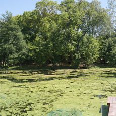 Pozostałości zamku na wyspie