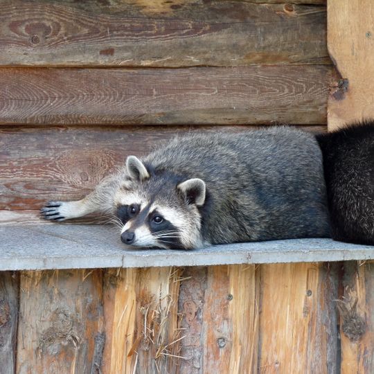 Faunapark Lipová-lázně