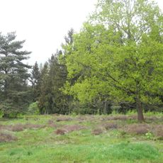Naturschutzgebiet Termenei bei Wilhelmshausen
