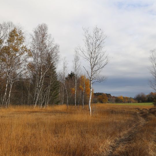 Wattersdorfer Moor