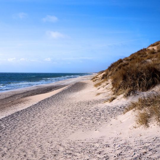 Skagen Syd, V, Damstedvej