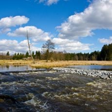 Waldnaabaue westlich Tirschenreuth