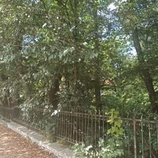 Park in Kujawy, Poland