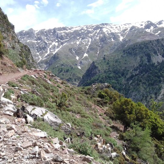 Όρος Ξαρχιτικα