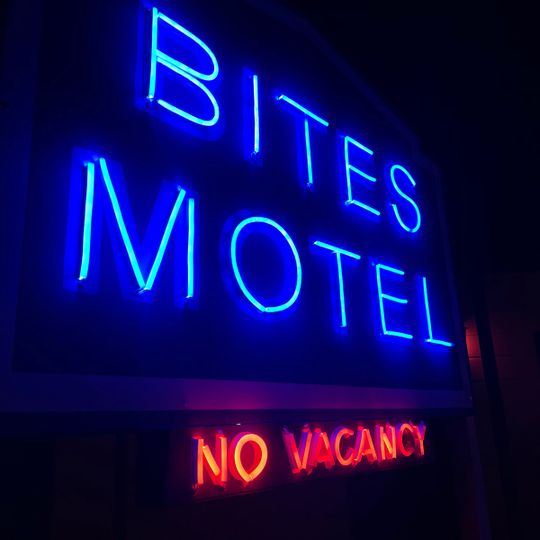 Bite the fly