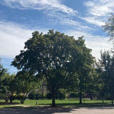 Winnebago Park
