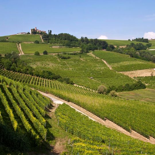 Langhe