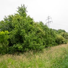 Grünlandkomplex östlich Hollenstein