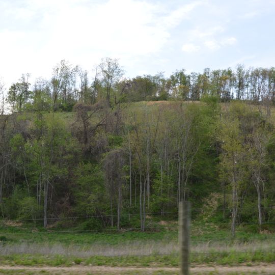 Francis Farm Petroglyphs