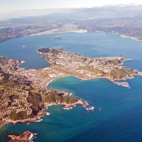 Port morski Wellington